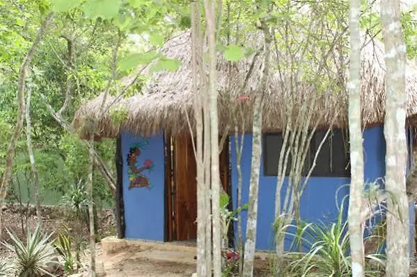 Casa Selva Orquideas Bed & Breakfast Macario Gomez Mexico