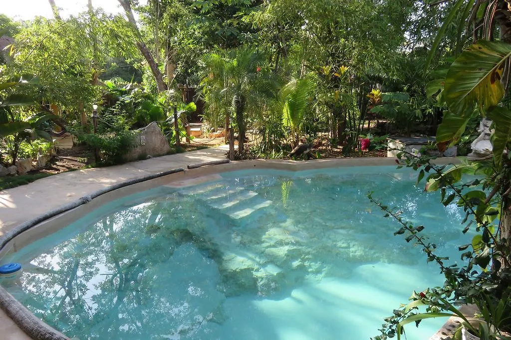 Bed and Breakfast Casa Selva Orquideas Macario Gomez 0*,