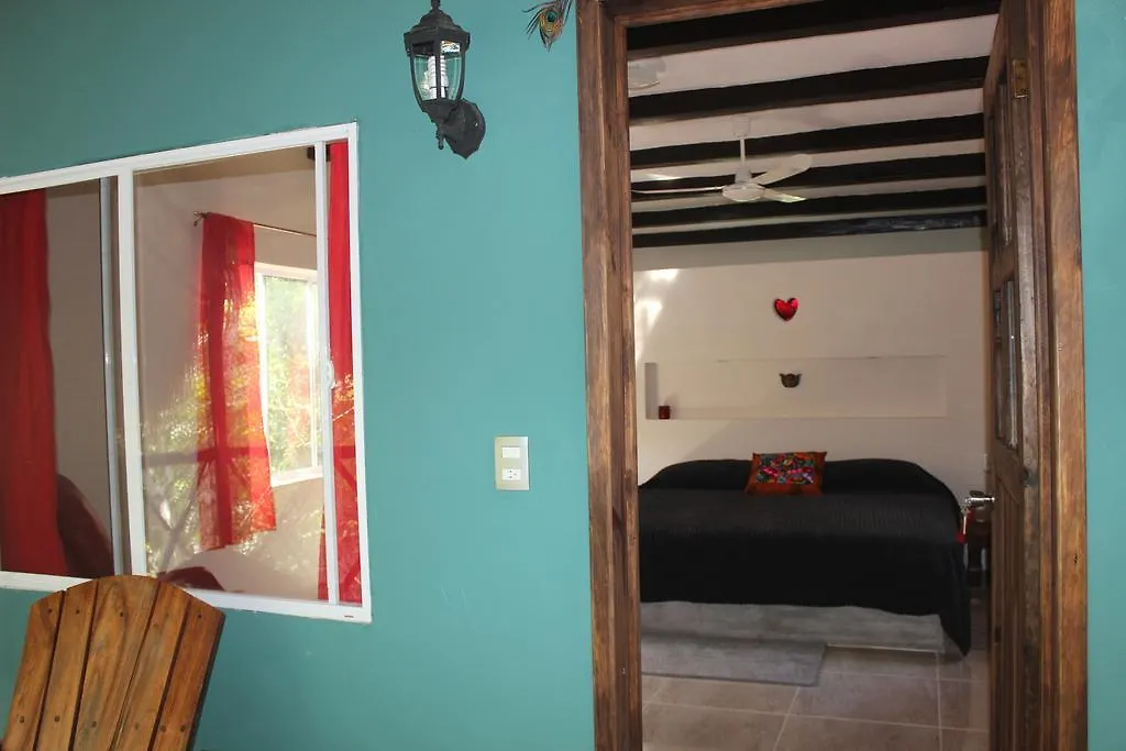 Bed and Breakfast Casa Selva Orquideas Macario Gomez 0*,