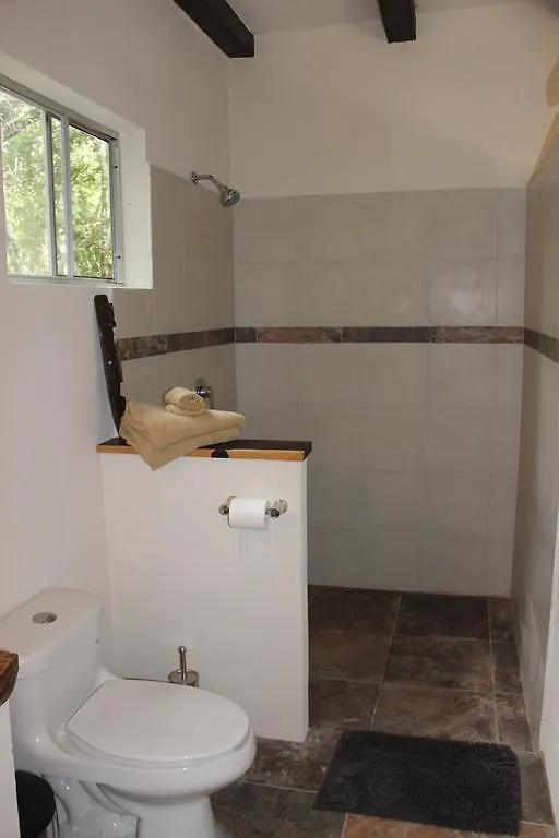 Bed and Breakfast Casa Selva Orquideas Macario Gomez