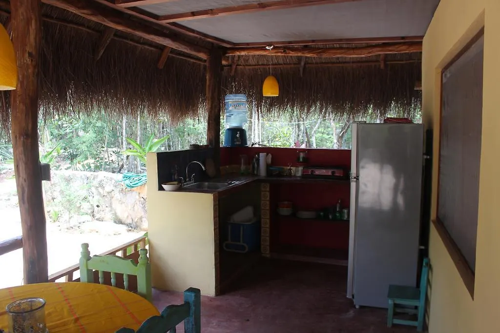 Bed & Breakfast Bed and Breakfast Casa Selva Orquideas Macario Gomez