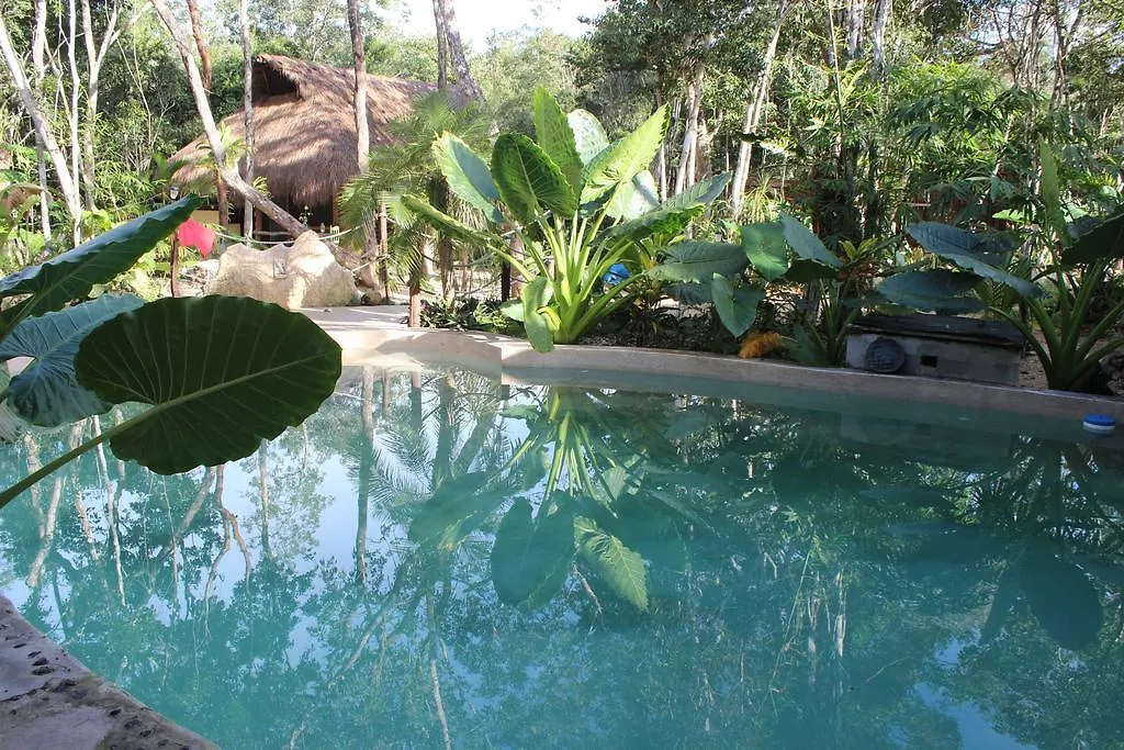 Bed and Breakfast Casa Selva Orquideas Macario Gomez