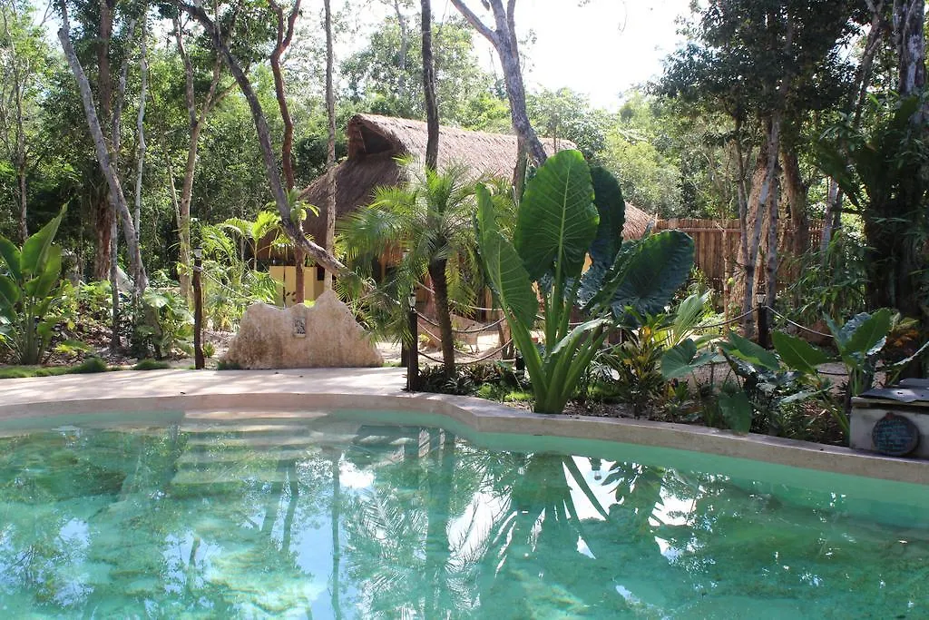 Bed and Breakfast Casa Selva Orquideas Macario Gomez