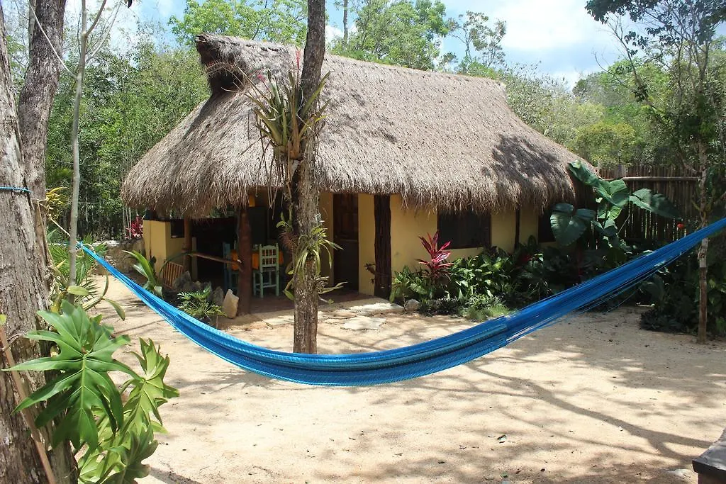 Bed and Breakfast Casa Selva Orquideas Macario Gomez Bed & Breakfast