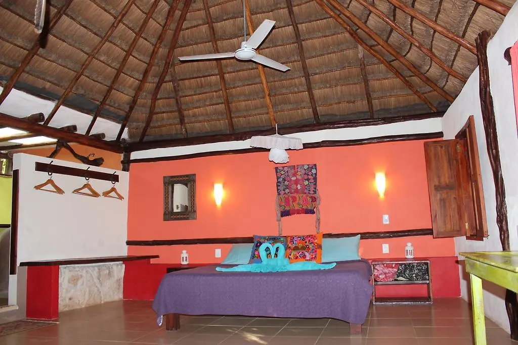 Bed and Breakfast Casa Selva Orquideas Macario Gomez 0*,